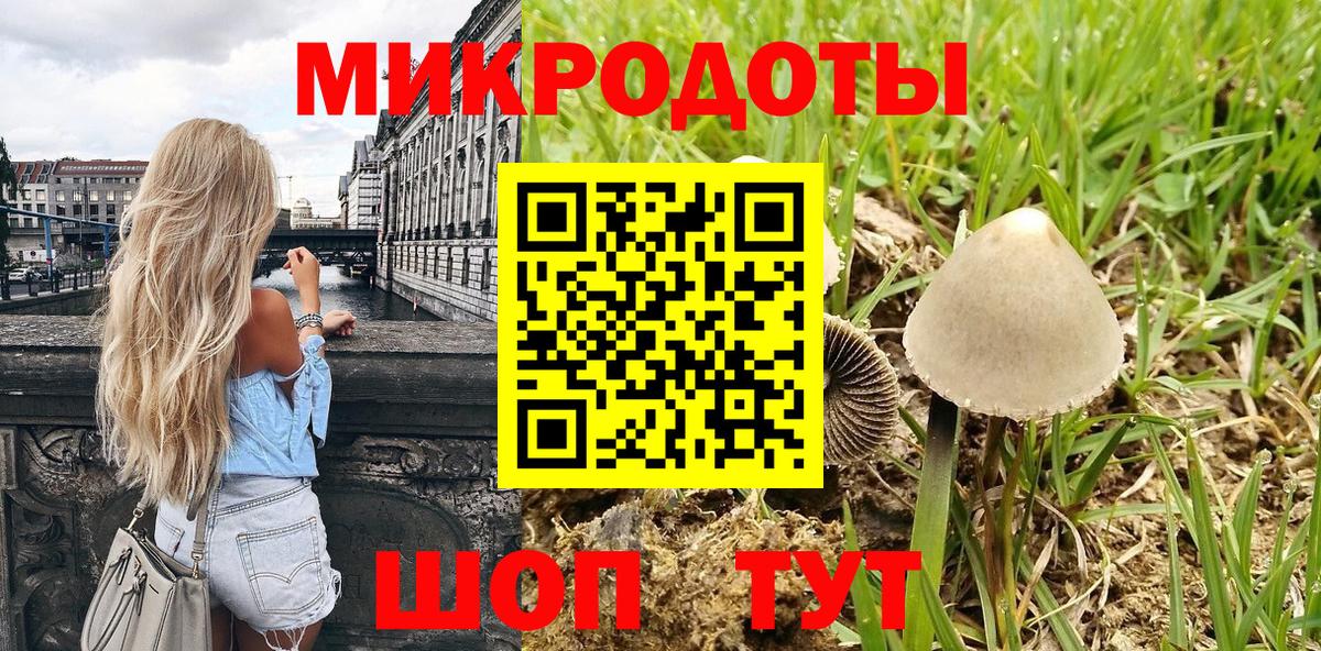 Галлюциногенные грибы Magic Shrooms Гурьевск